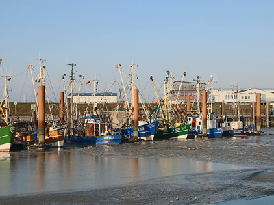 Outdoor Games in Norden/Norddeich